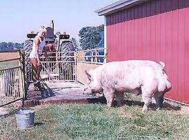 Leanna with hog