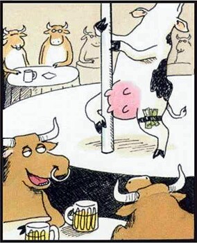 Cow stripper